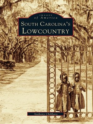 cover image of South Carolina's Lowcountry